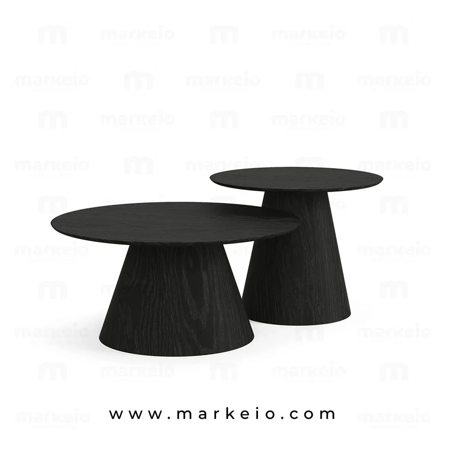 Duo de tables de salon noires pour une décoration intérieure élégante.